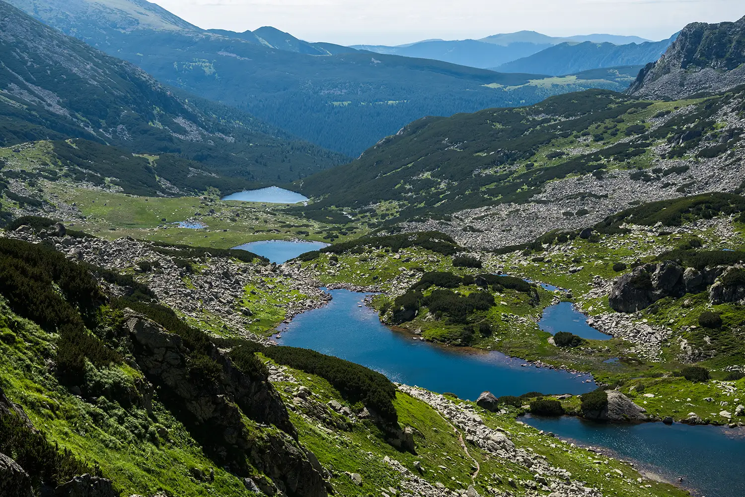 Carpații Meridionali