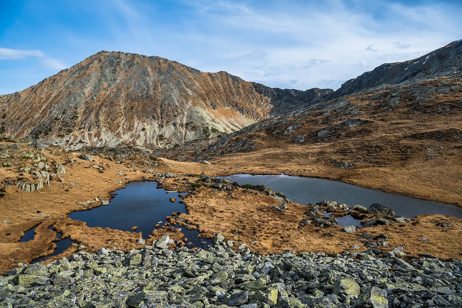 Carpații Meridionali