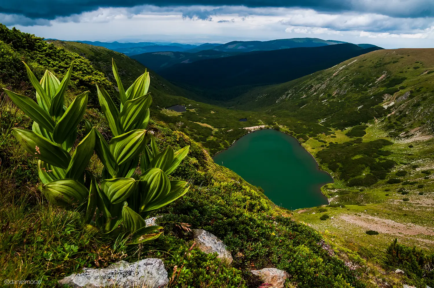Carpații Meridionali