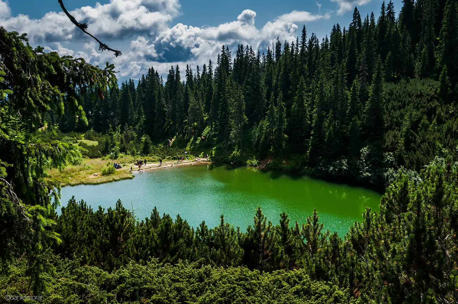 Carpații Meridionali