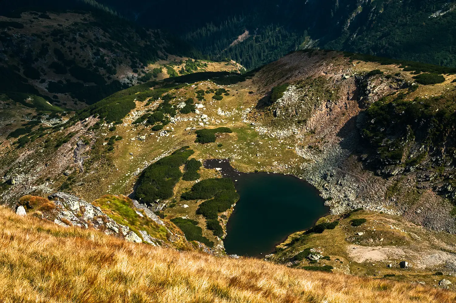Carpații Meridionali