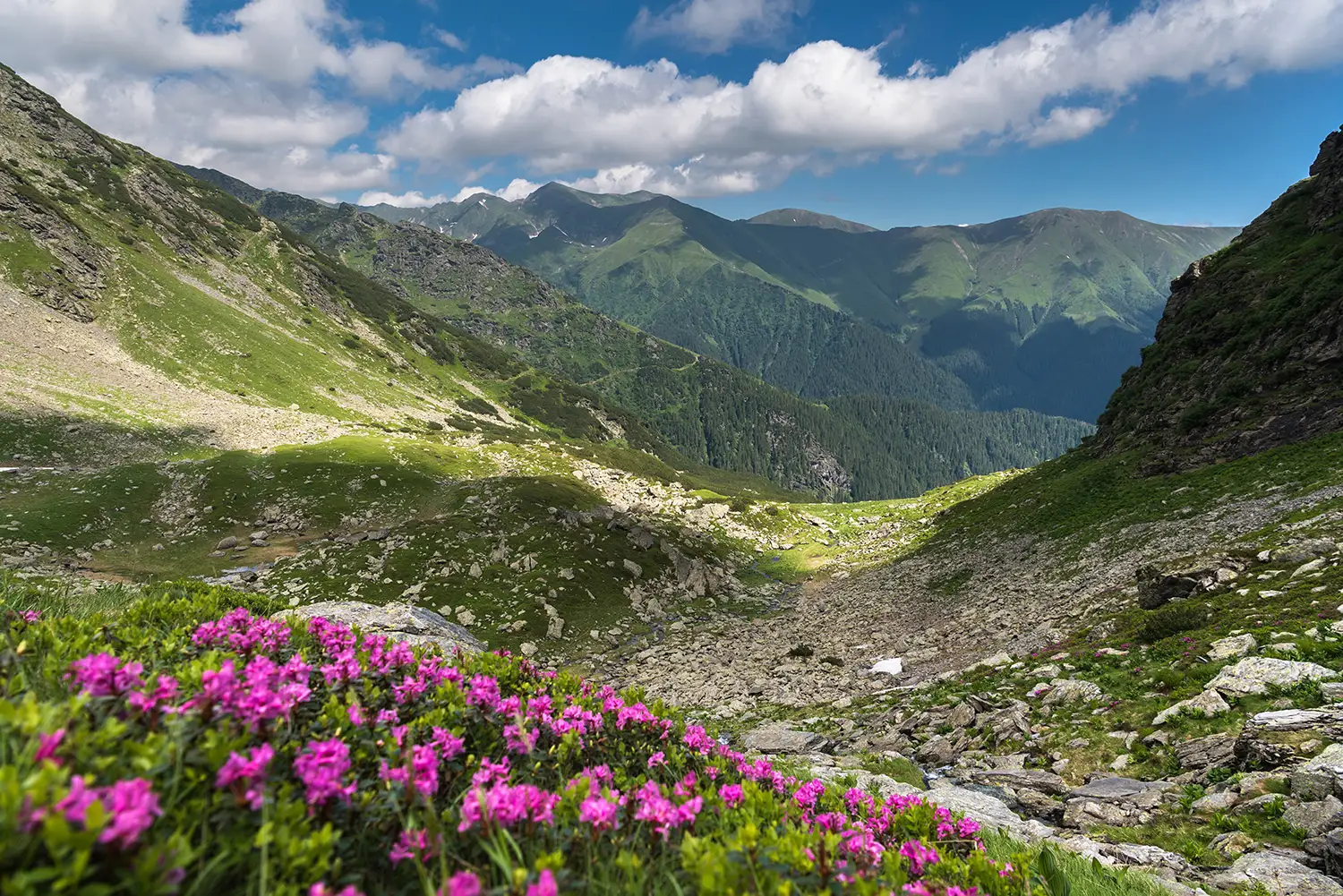Munții Făgărașului