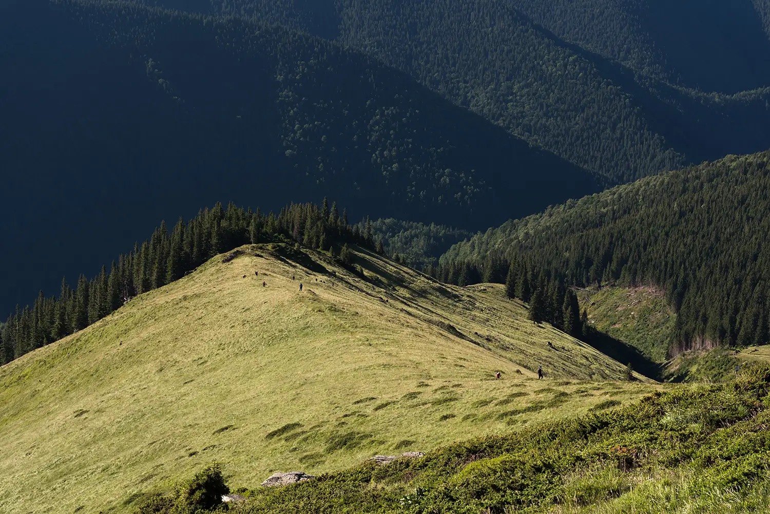 Munții Făgărașului