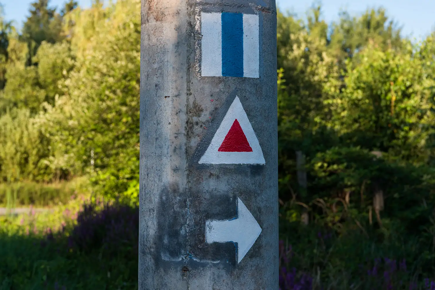 Munții Făgărașului