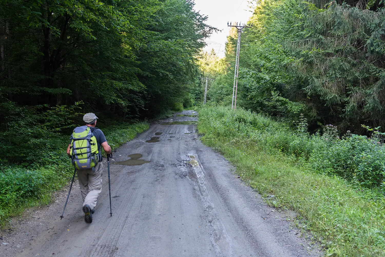 Munții Făgărașului