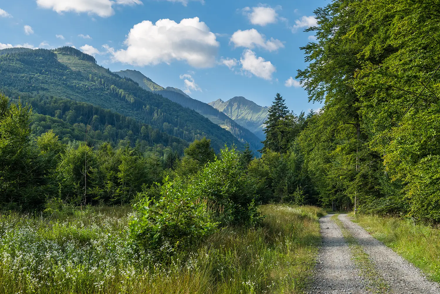 Munții Făgărașului