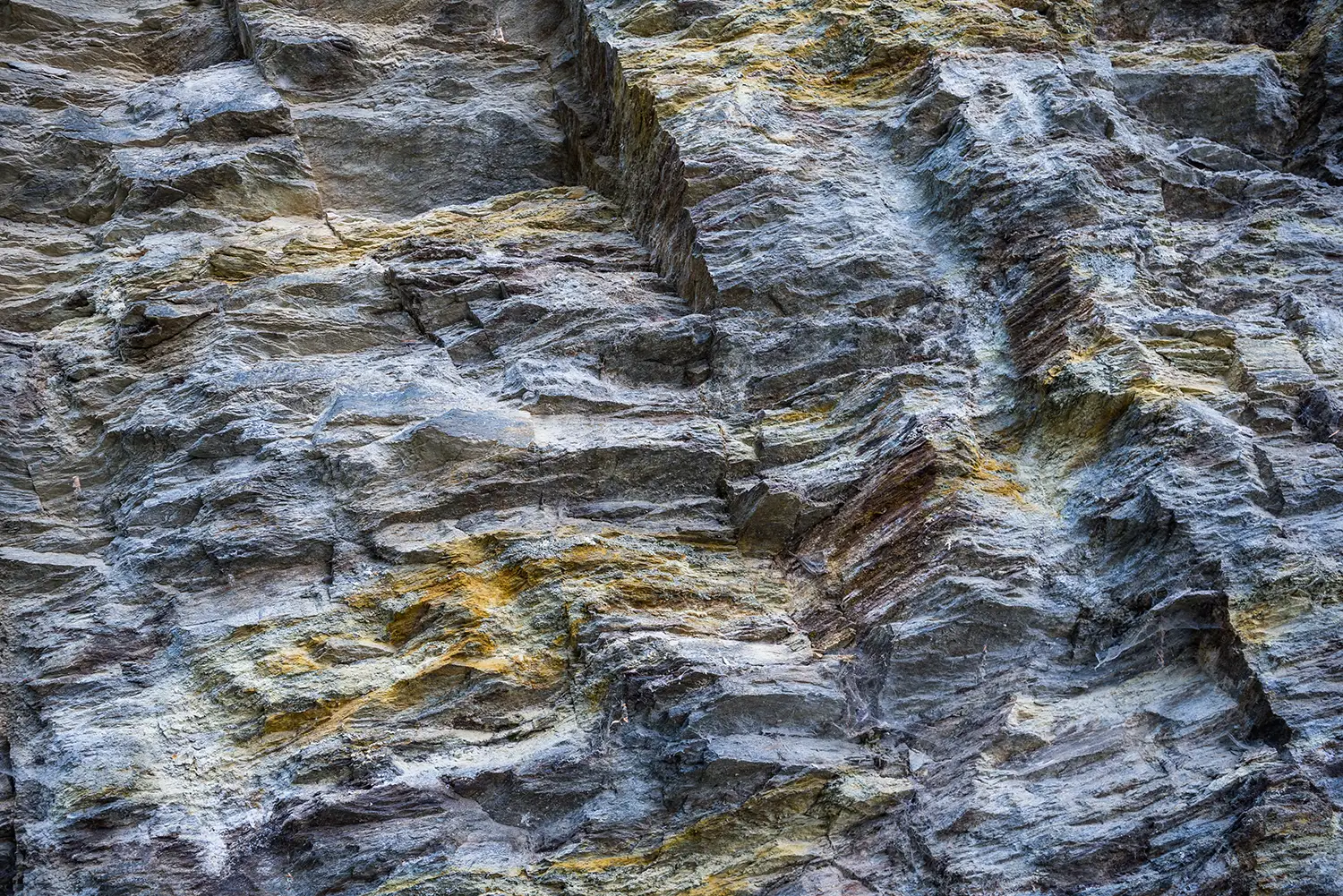 Munții Făgărașului