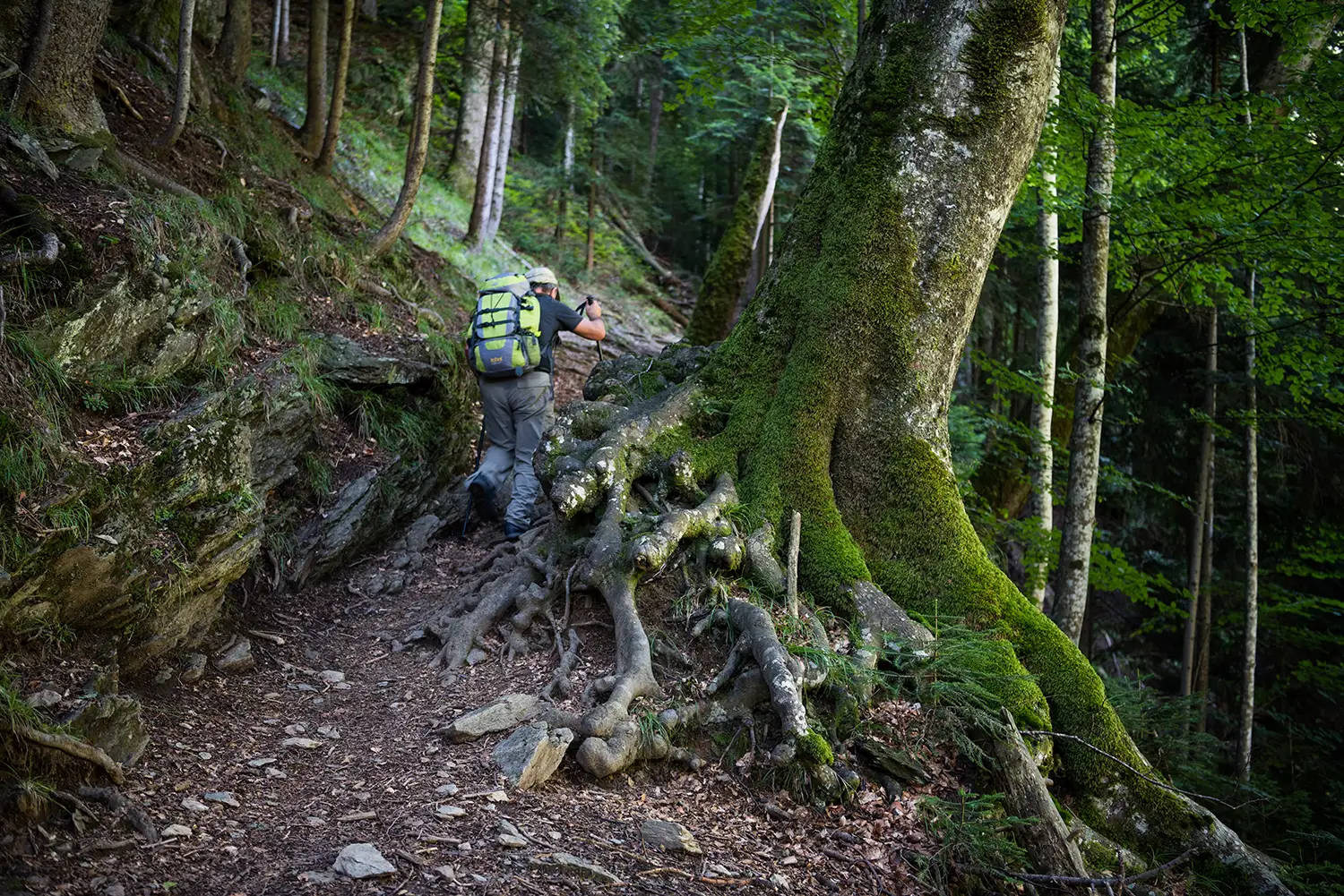 Munții Făgărașului