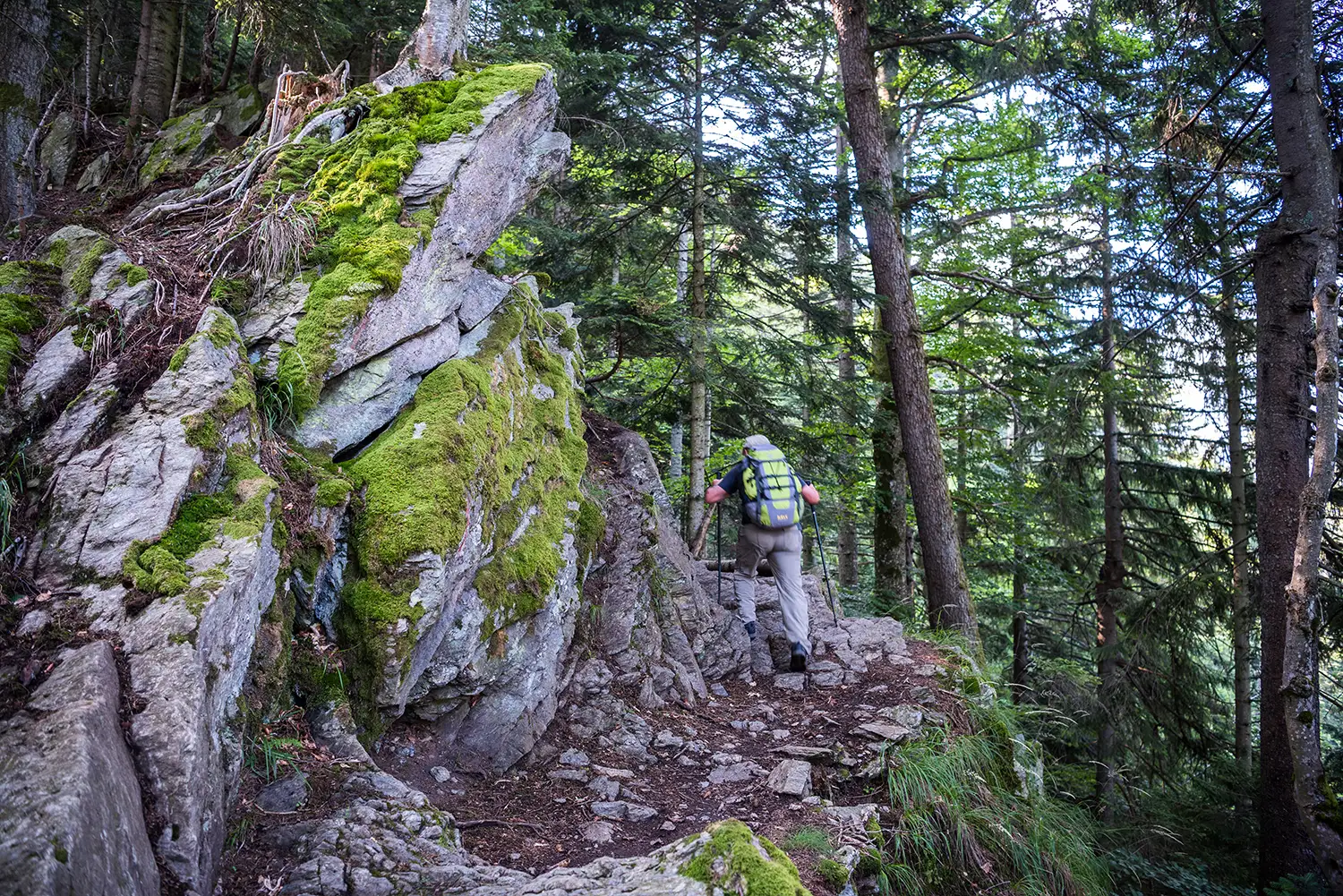 Munții Făgărașului
