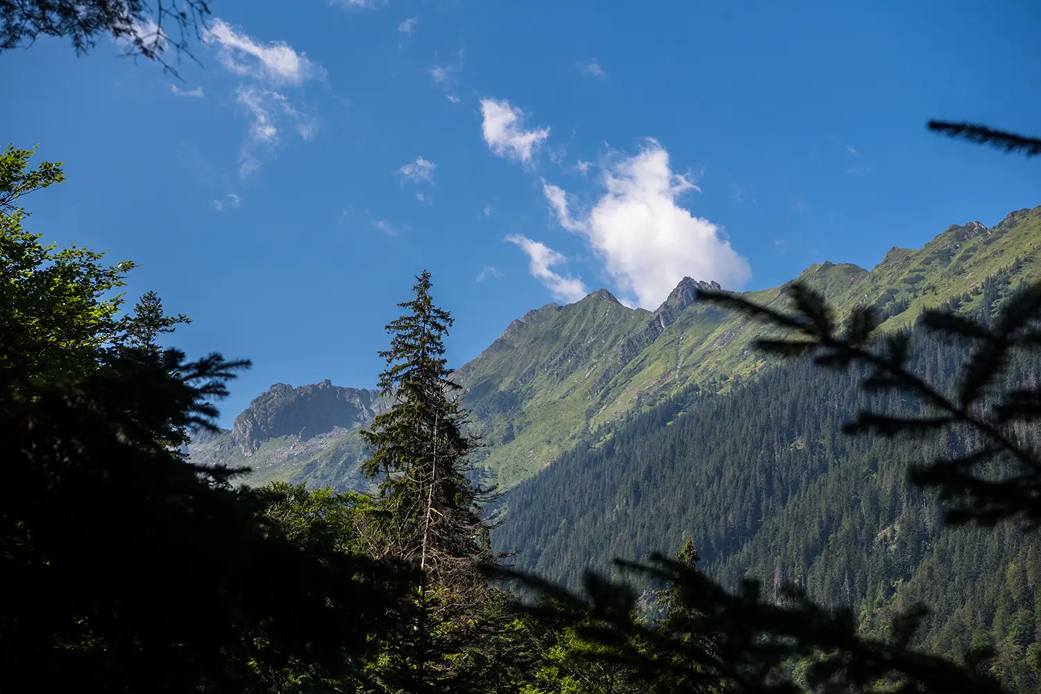 Munții Făgărașului