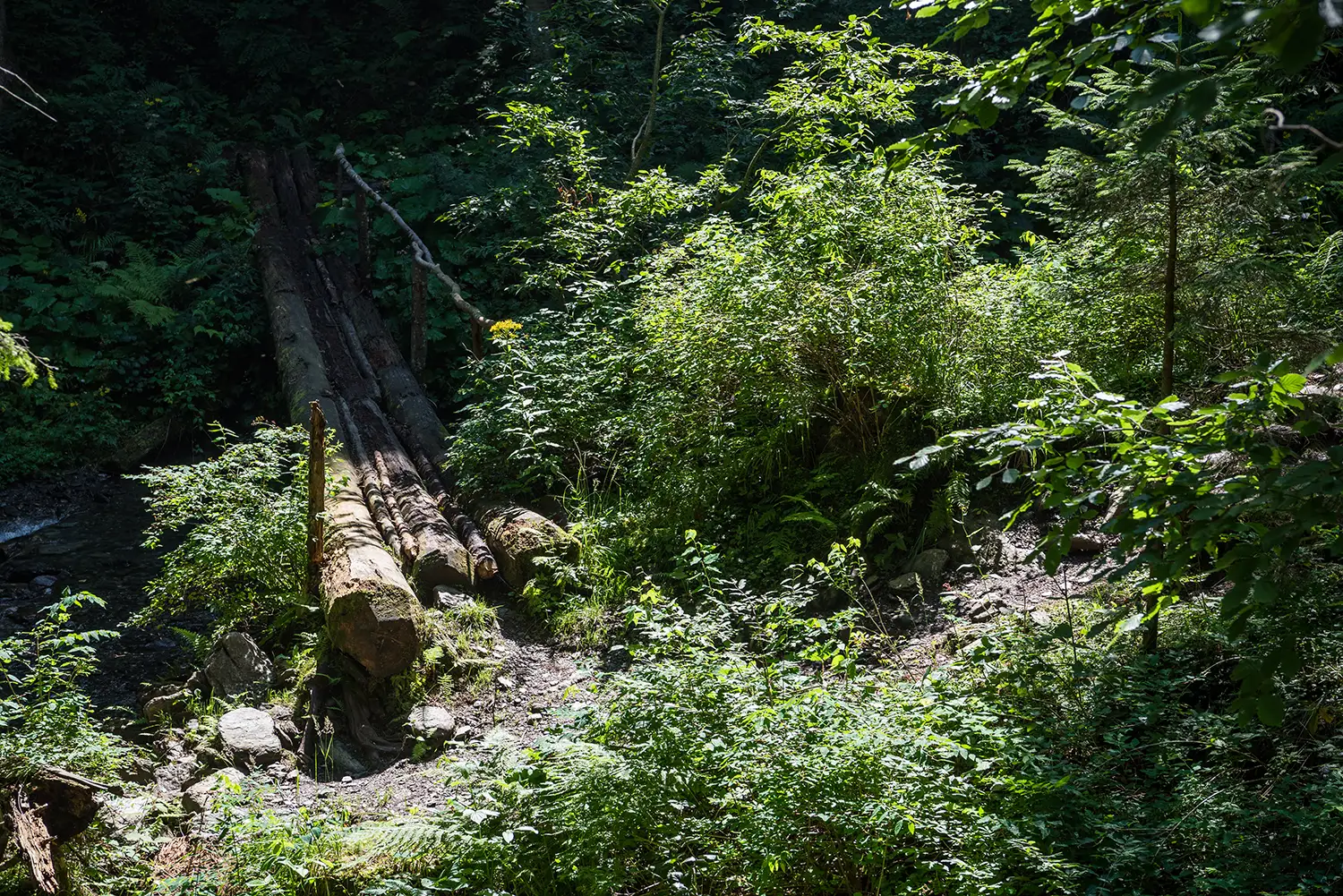 Munții Făgărașului