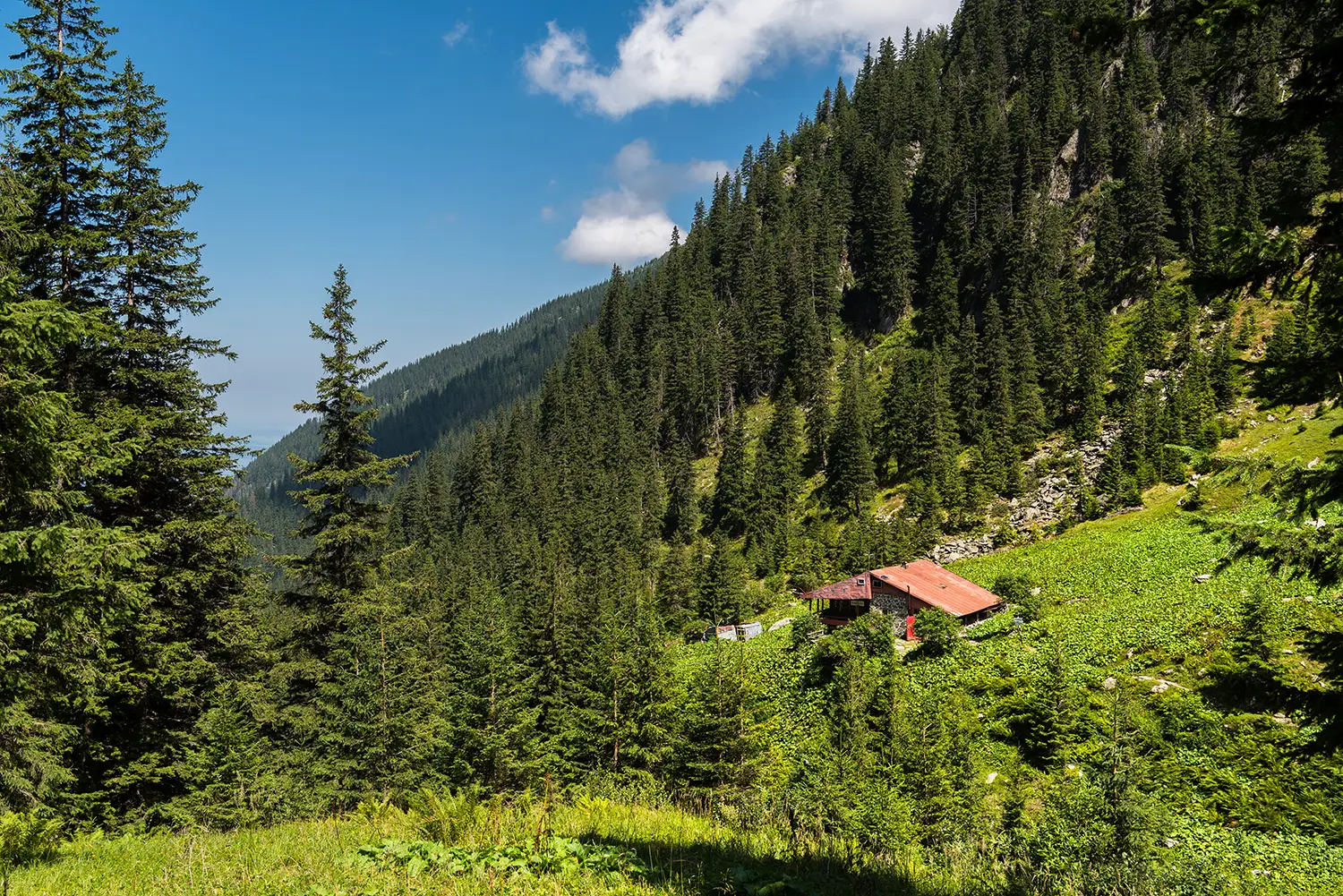 Munții Făgărașului