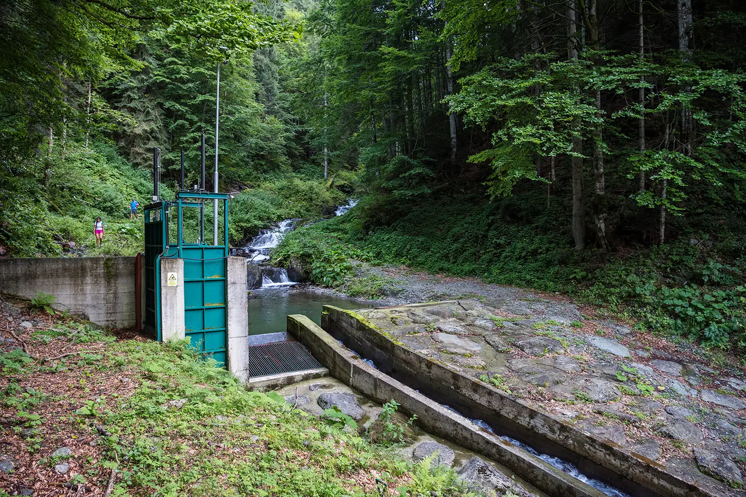 Munții Făgărașului