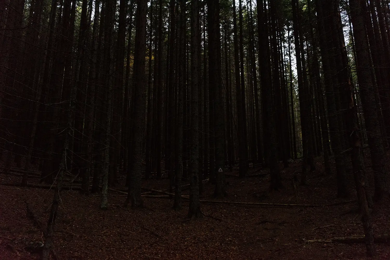 Munții Piule - Iorgovanu