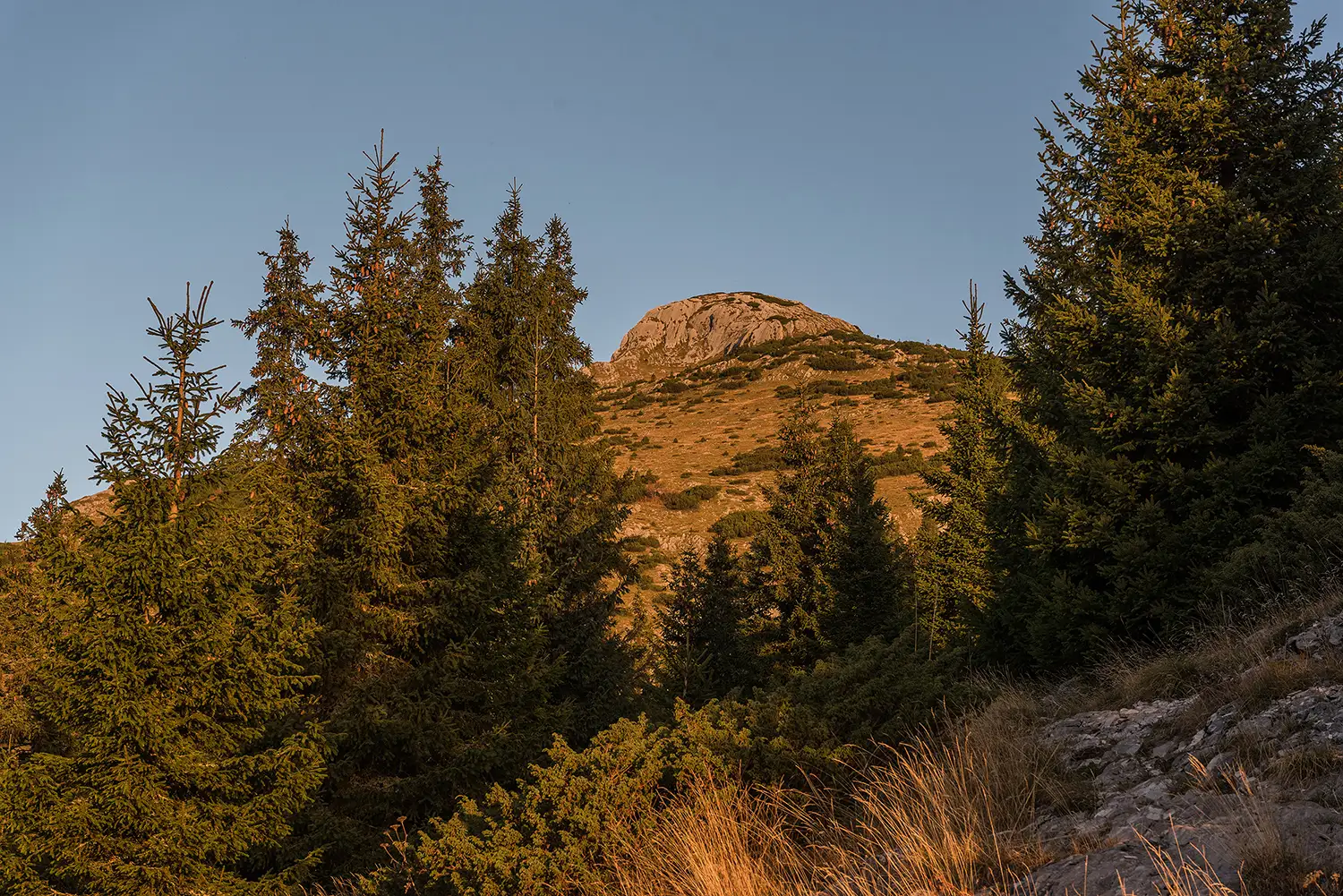 Munții Piule - Iorgovanu