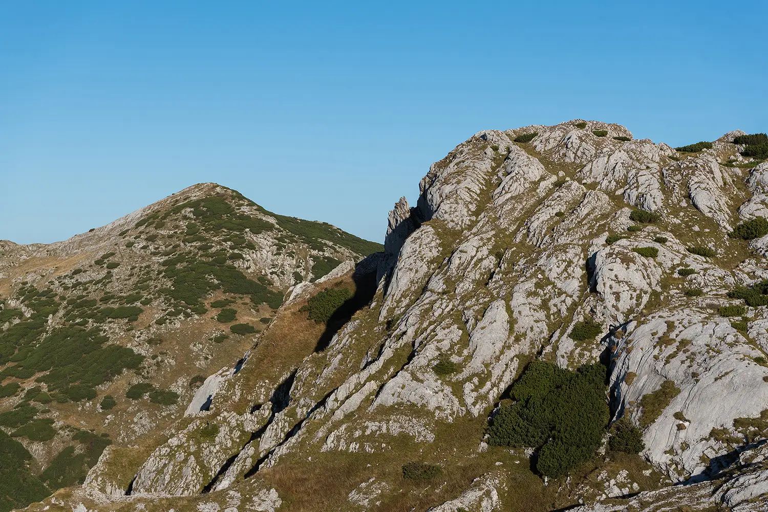 Munții Piule - Iorgovanu