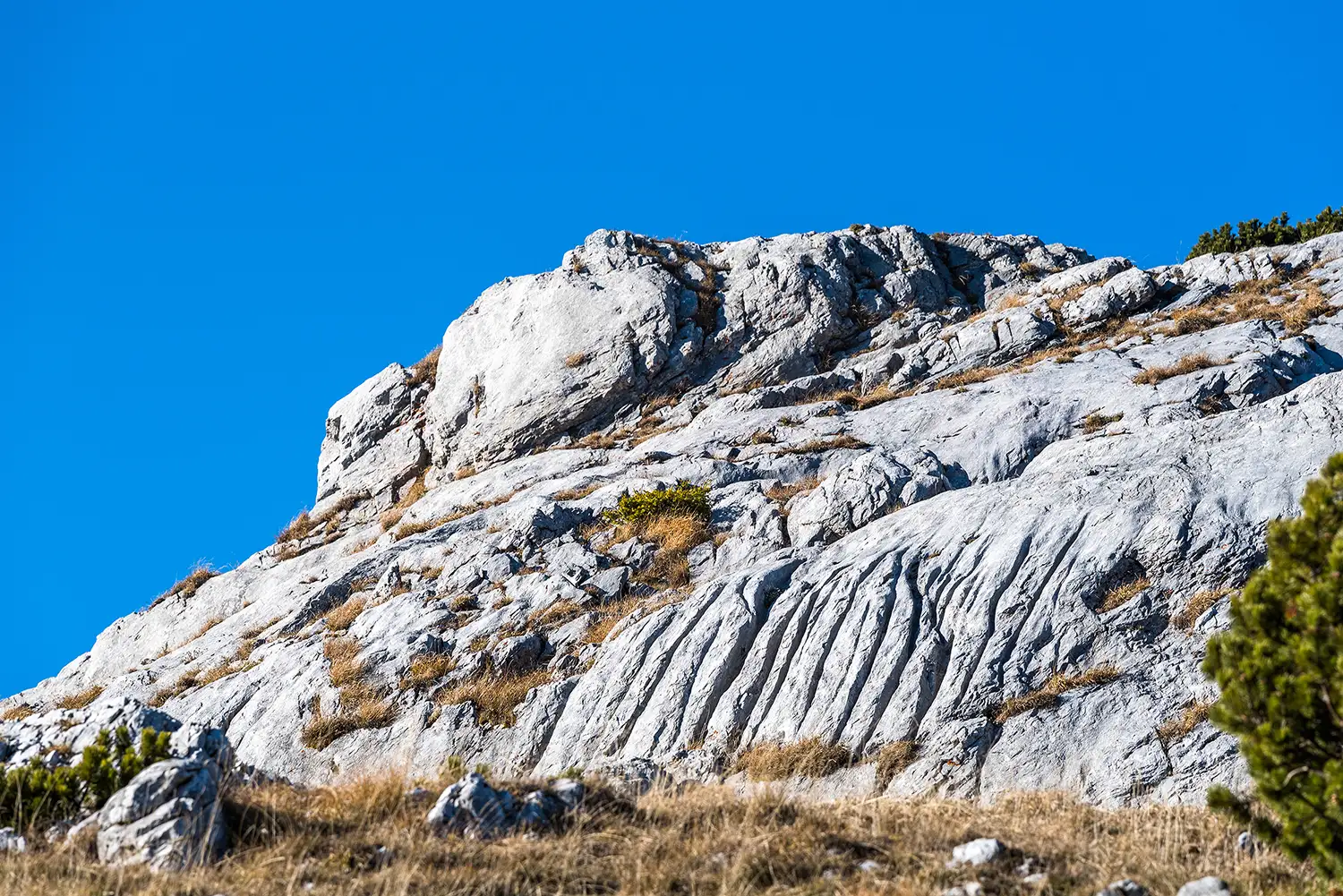 Munții Piule - Iorgovanu