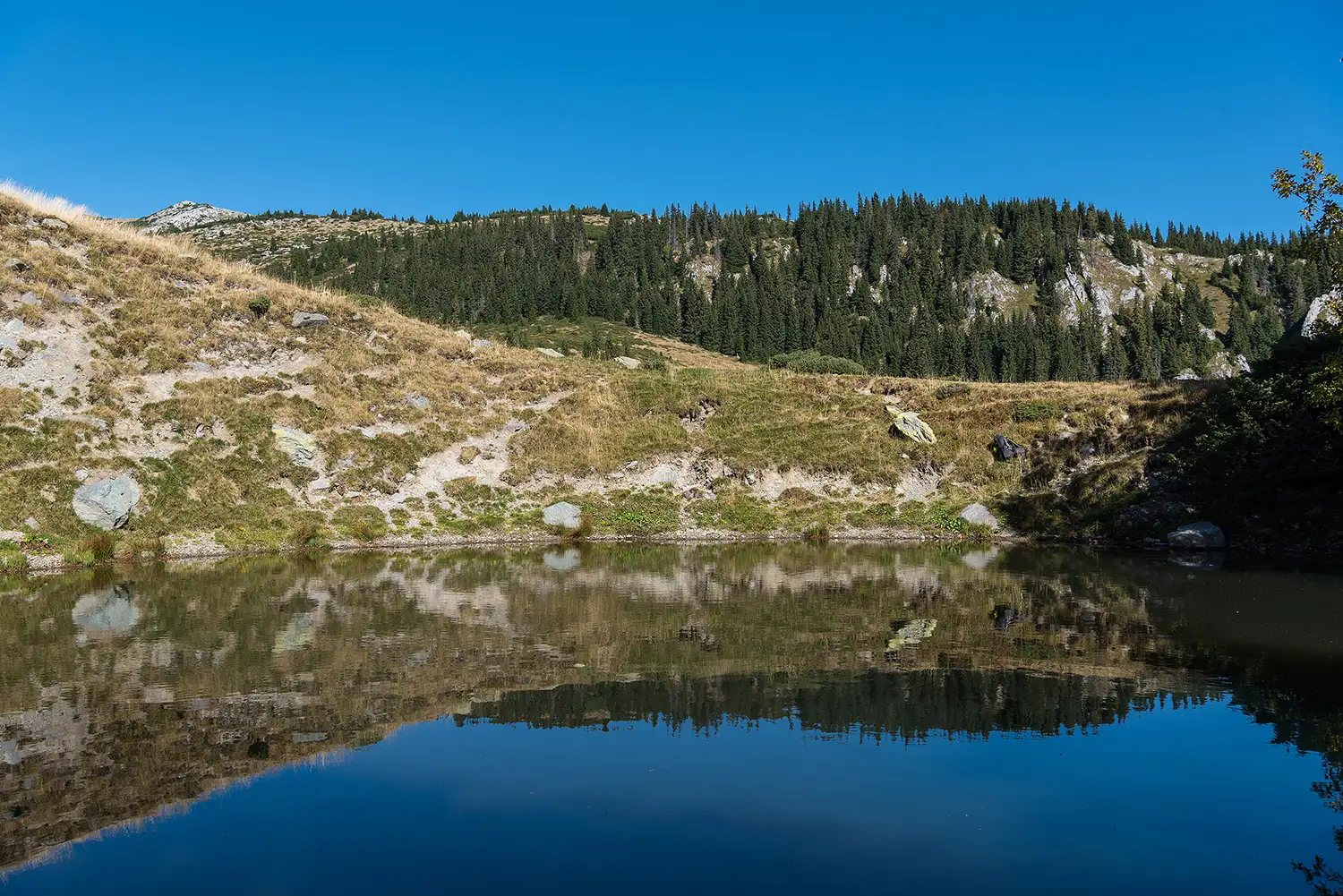 Munții Piule - Iorgovanu