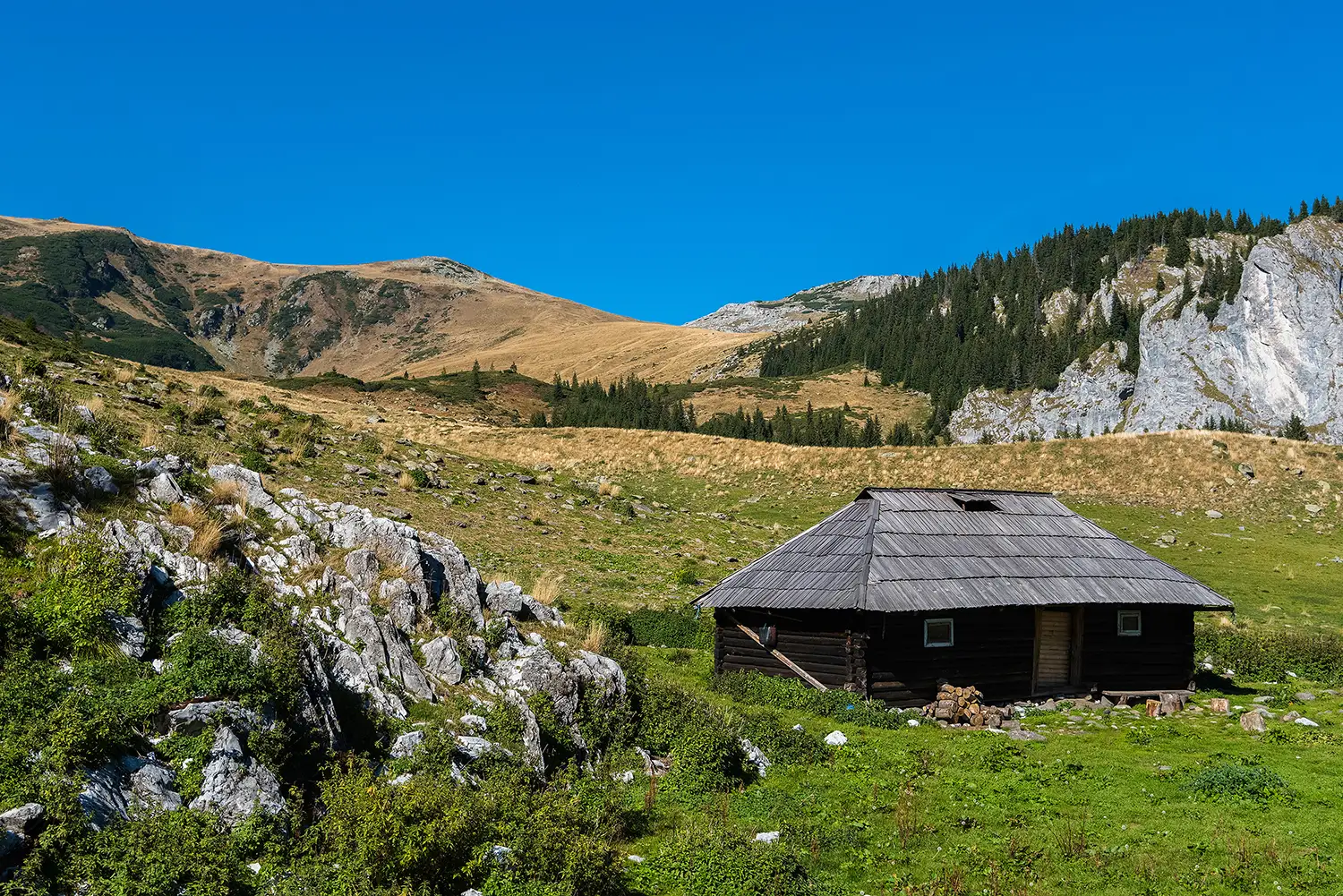  Munții Piule - Iorgovanu
