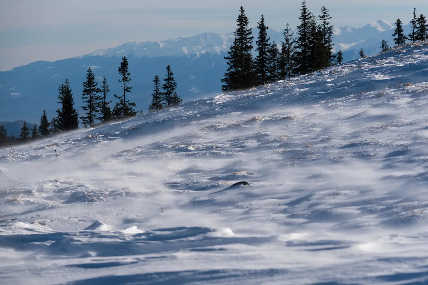 Carpații Meridionali