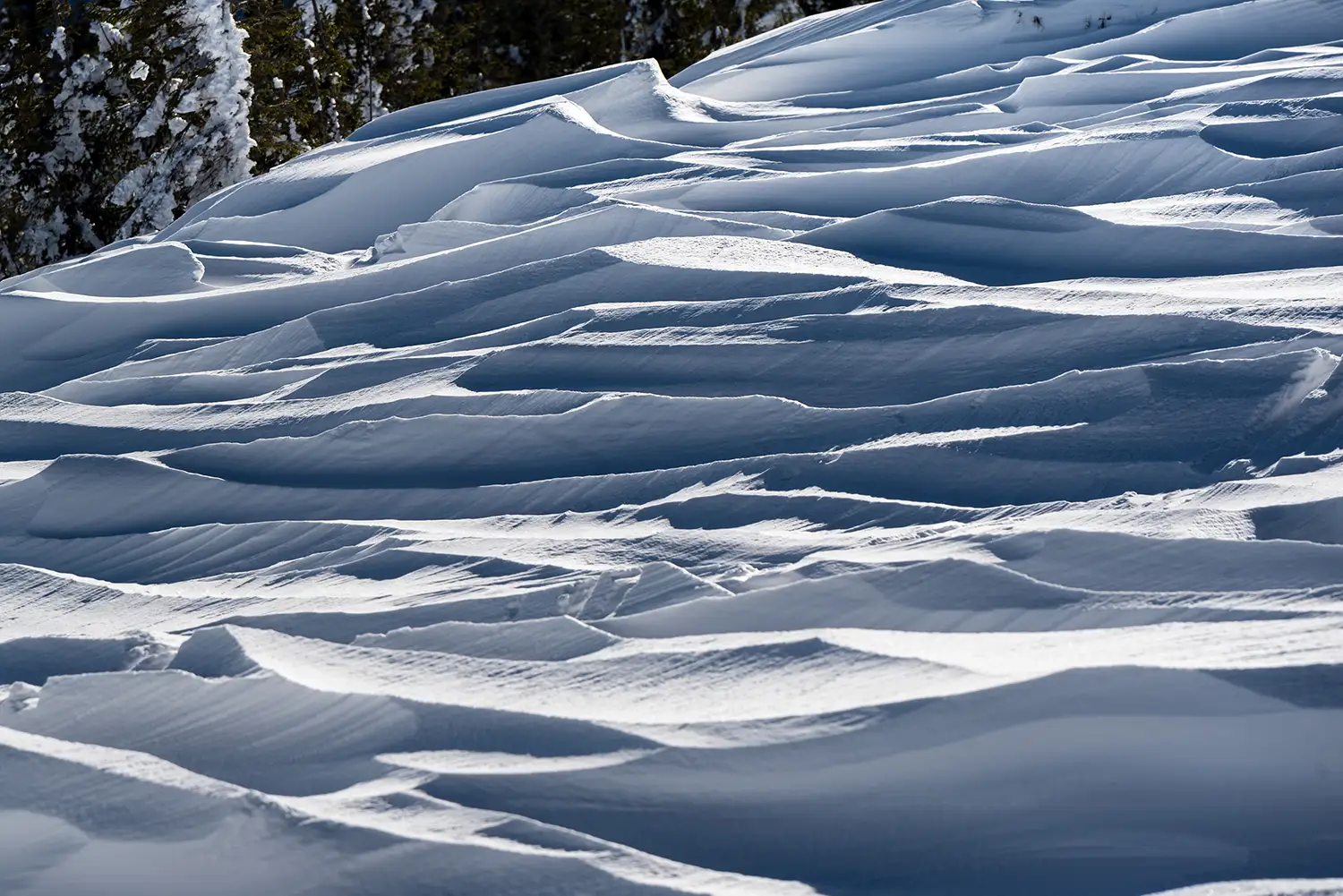Carpații Meridionali