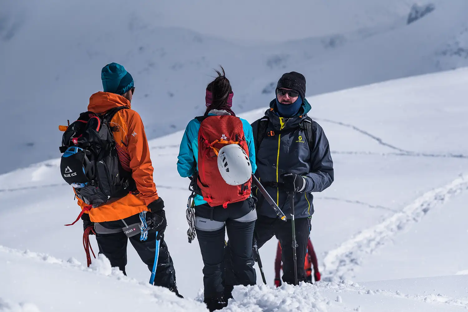 Carpații Meridionali