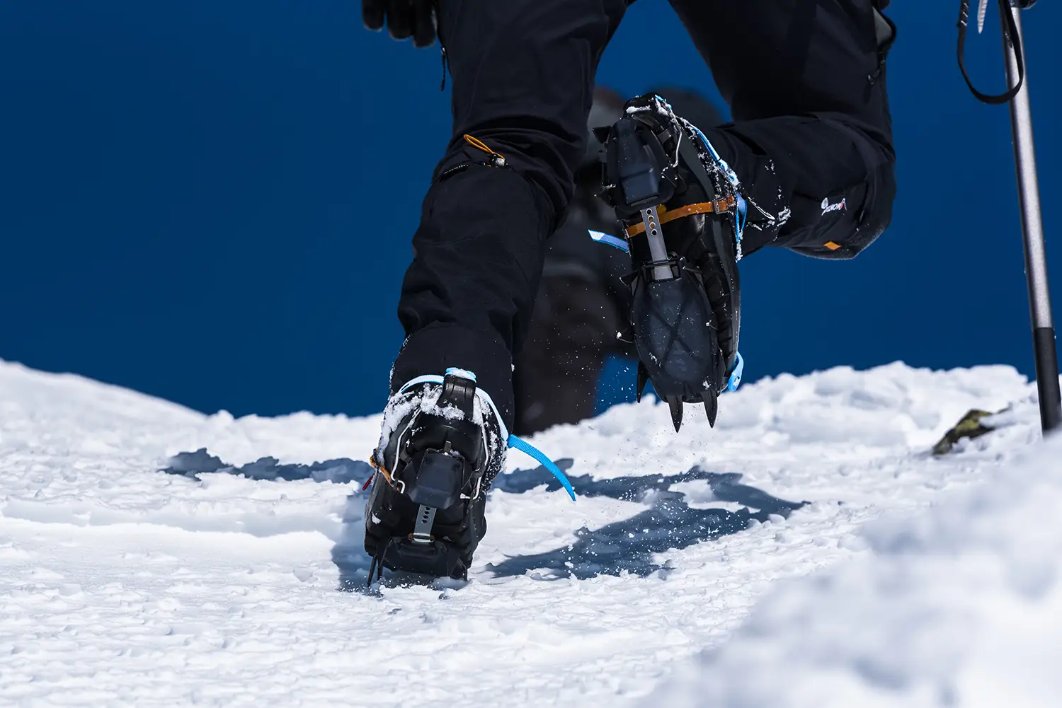 Carpații Meridionali