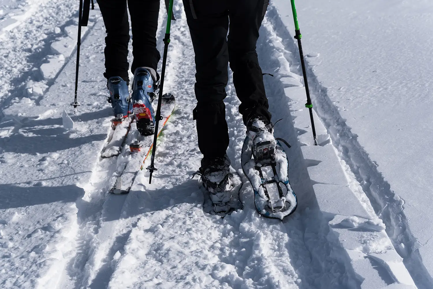 Carpații Meridionali