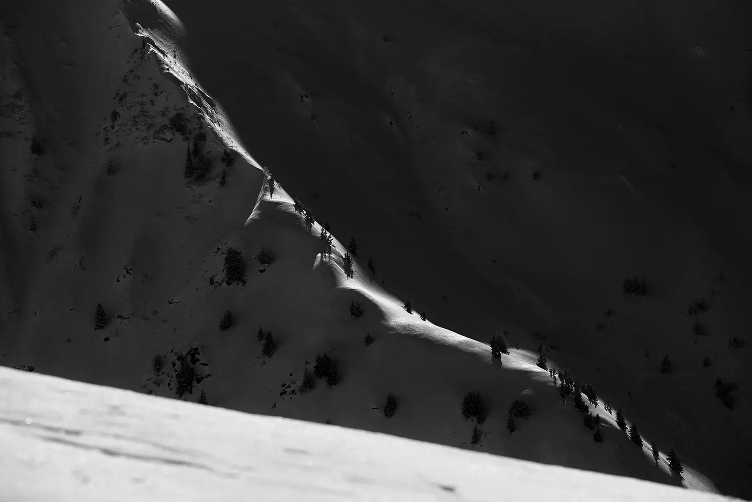 Carpații Meridionali