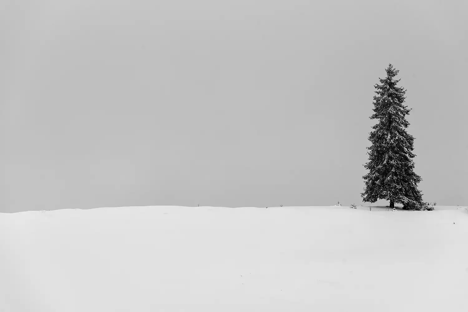 Carpații Meridionali