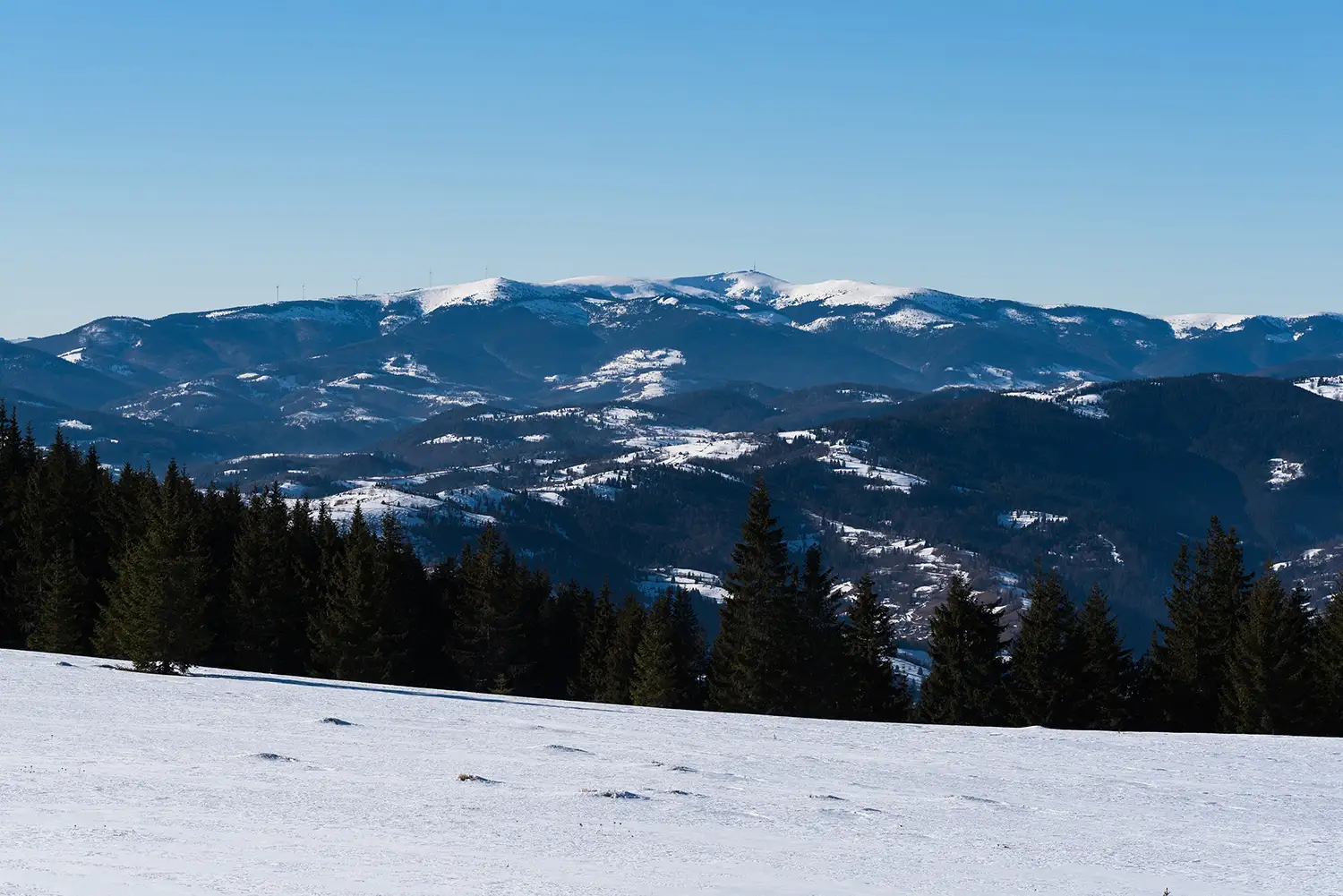 Munții Gilău - Muntele Mare