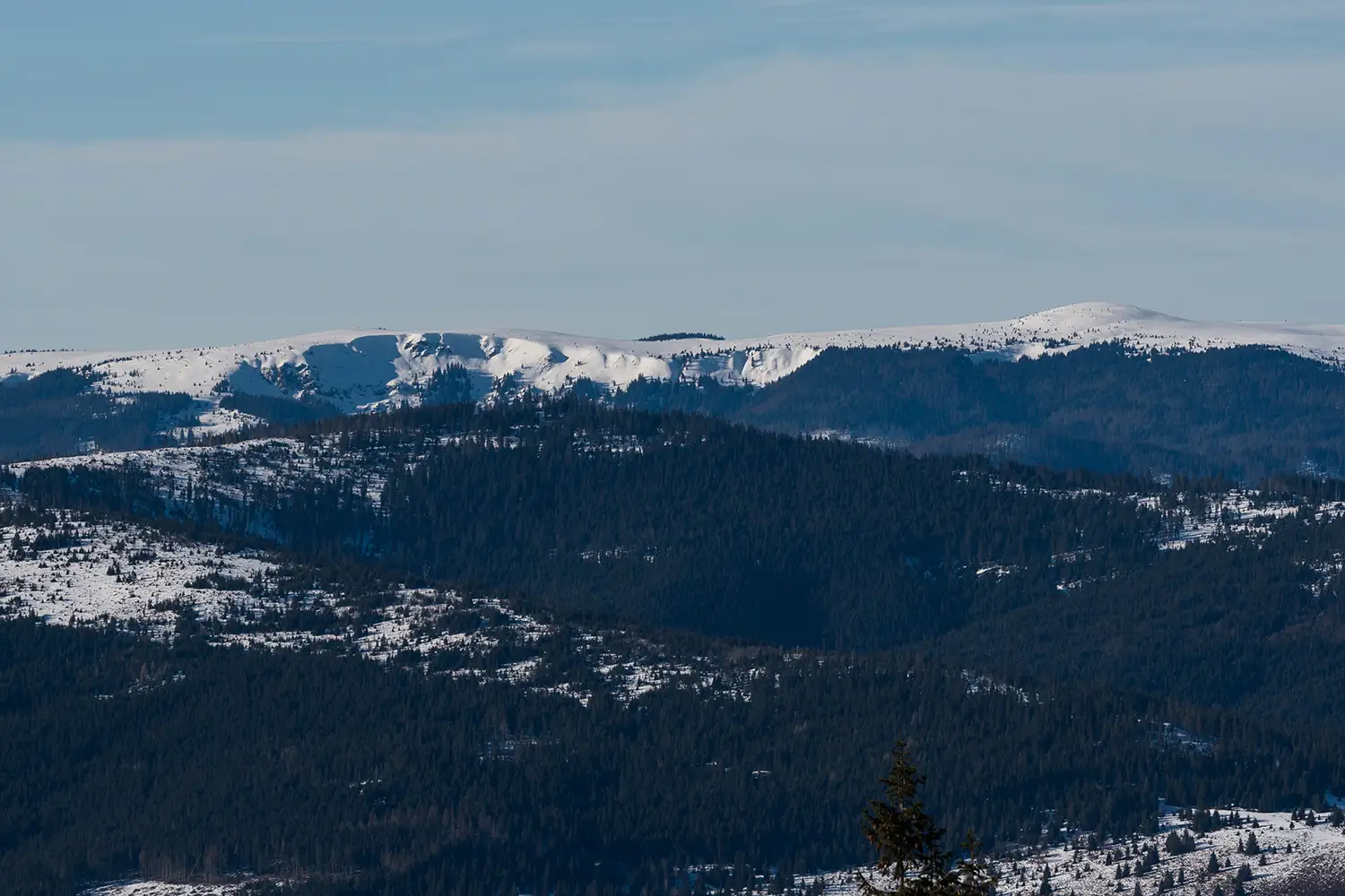 Munții Gilău - Muntele Mare