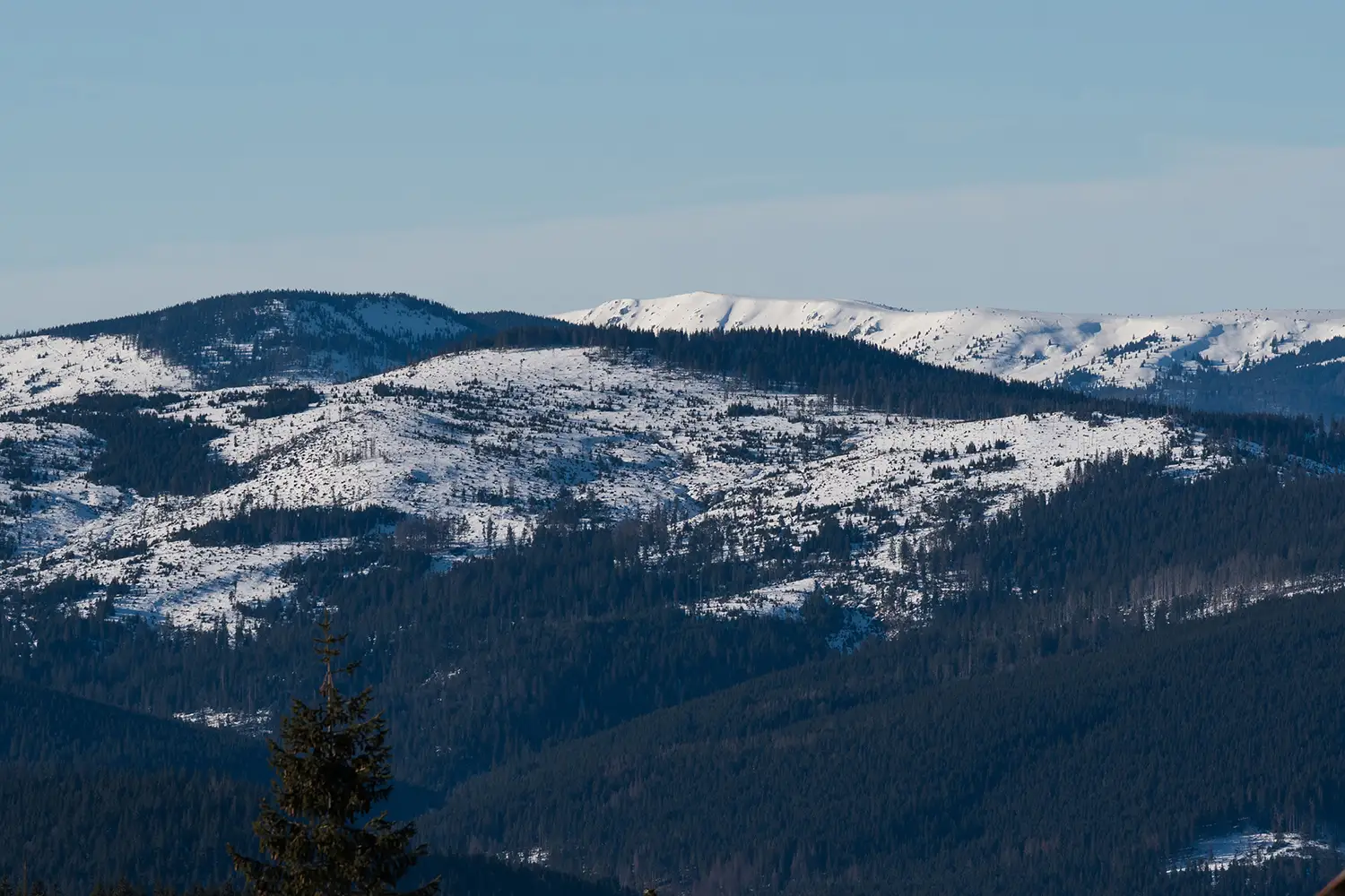 Munții Gilău - Muntele Mare