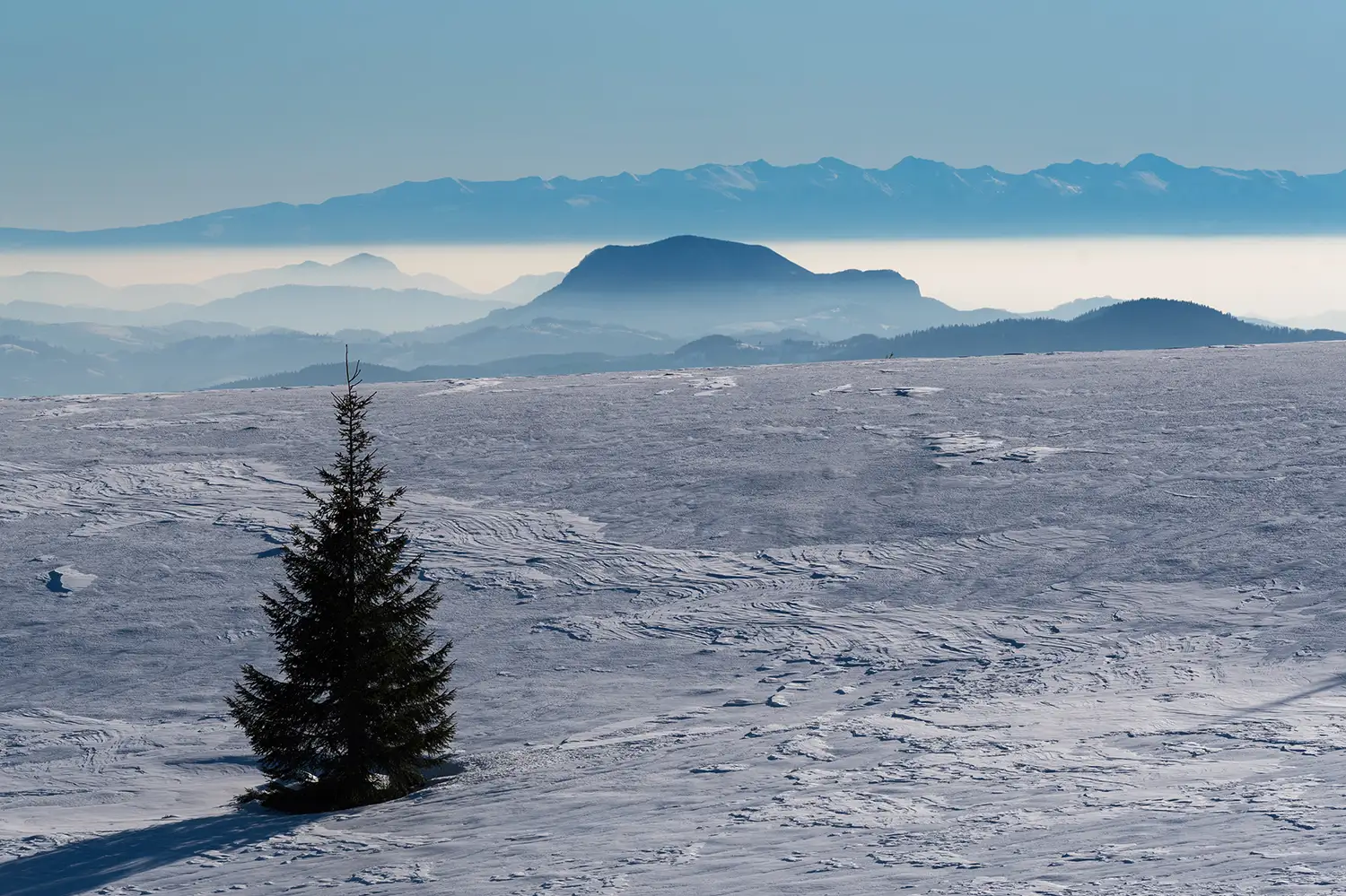 Munții Gilău - Muntele Mare