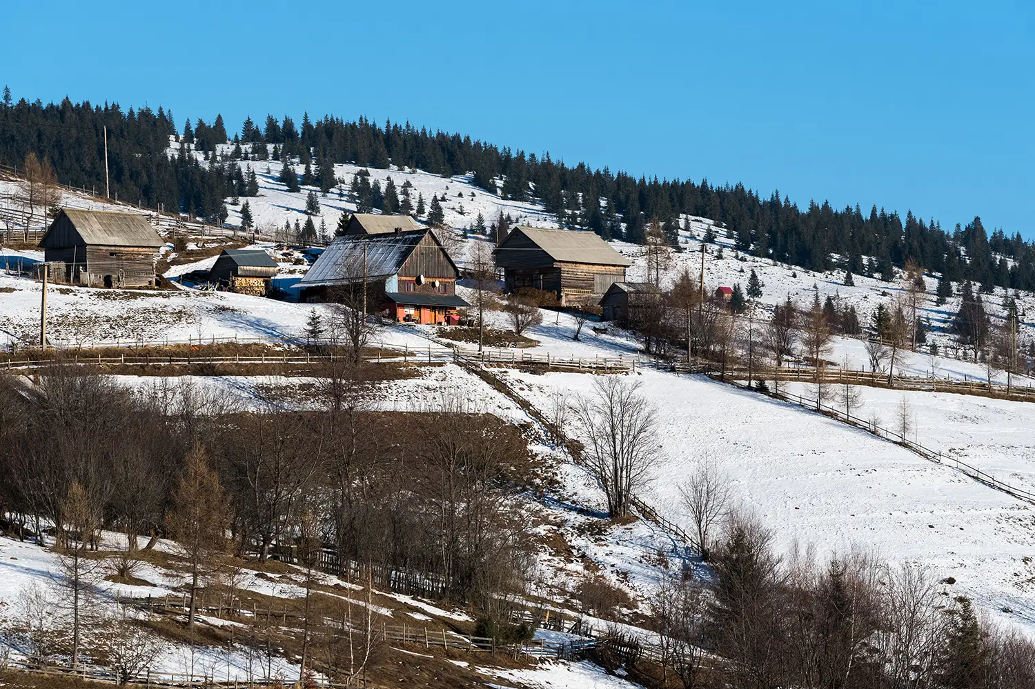 Munții Gilău - Muntele Mare