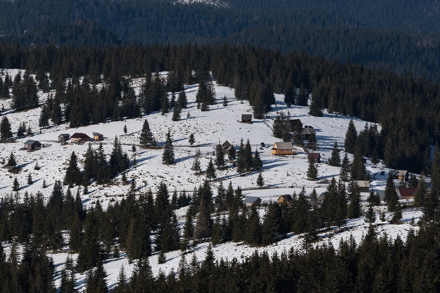 Munții Gilău - Muntele Mare
