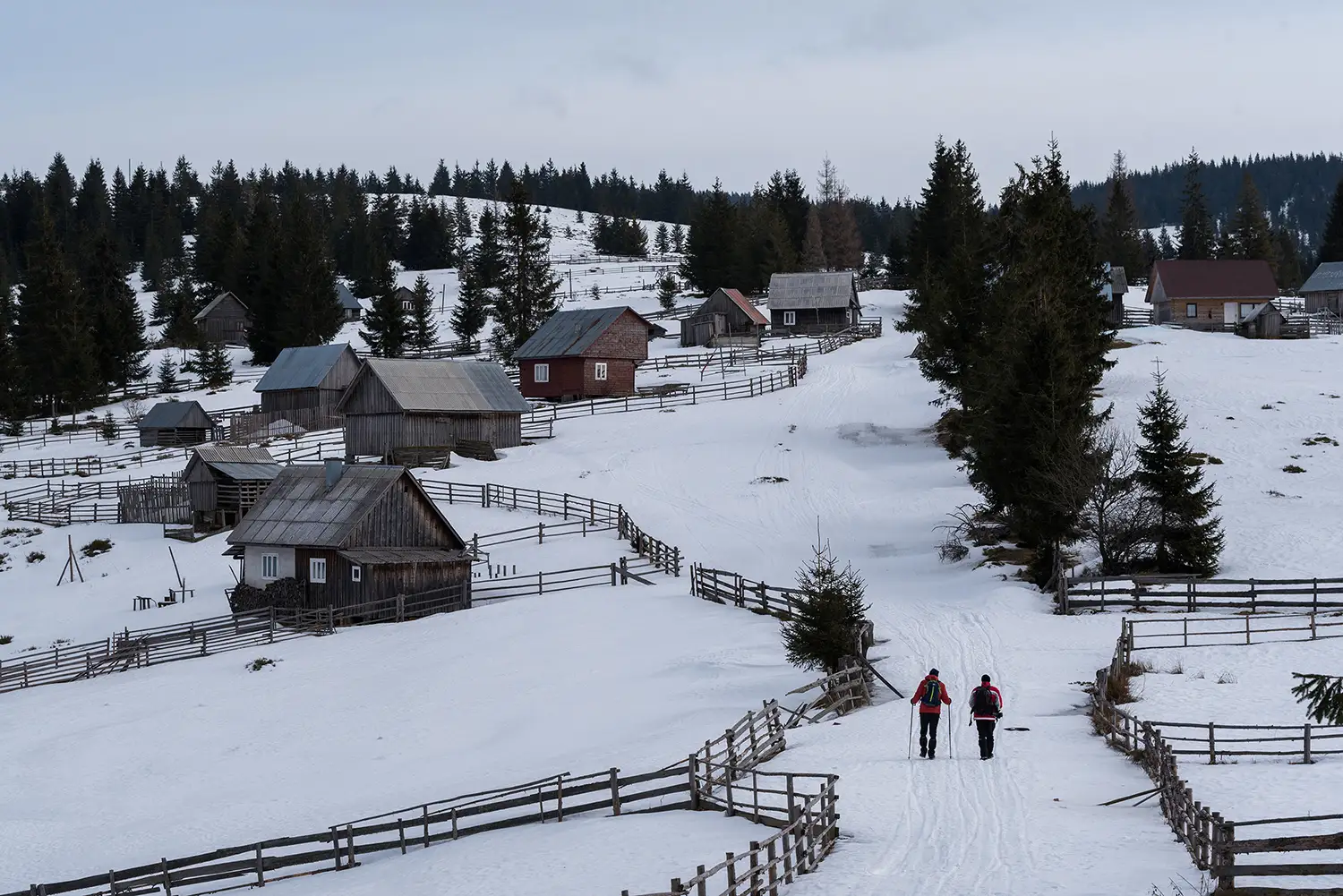 Munții Gilău - Muntele Mare