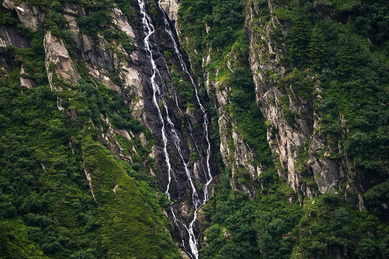  Munții Făgărașului