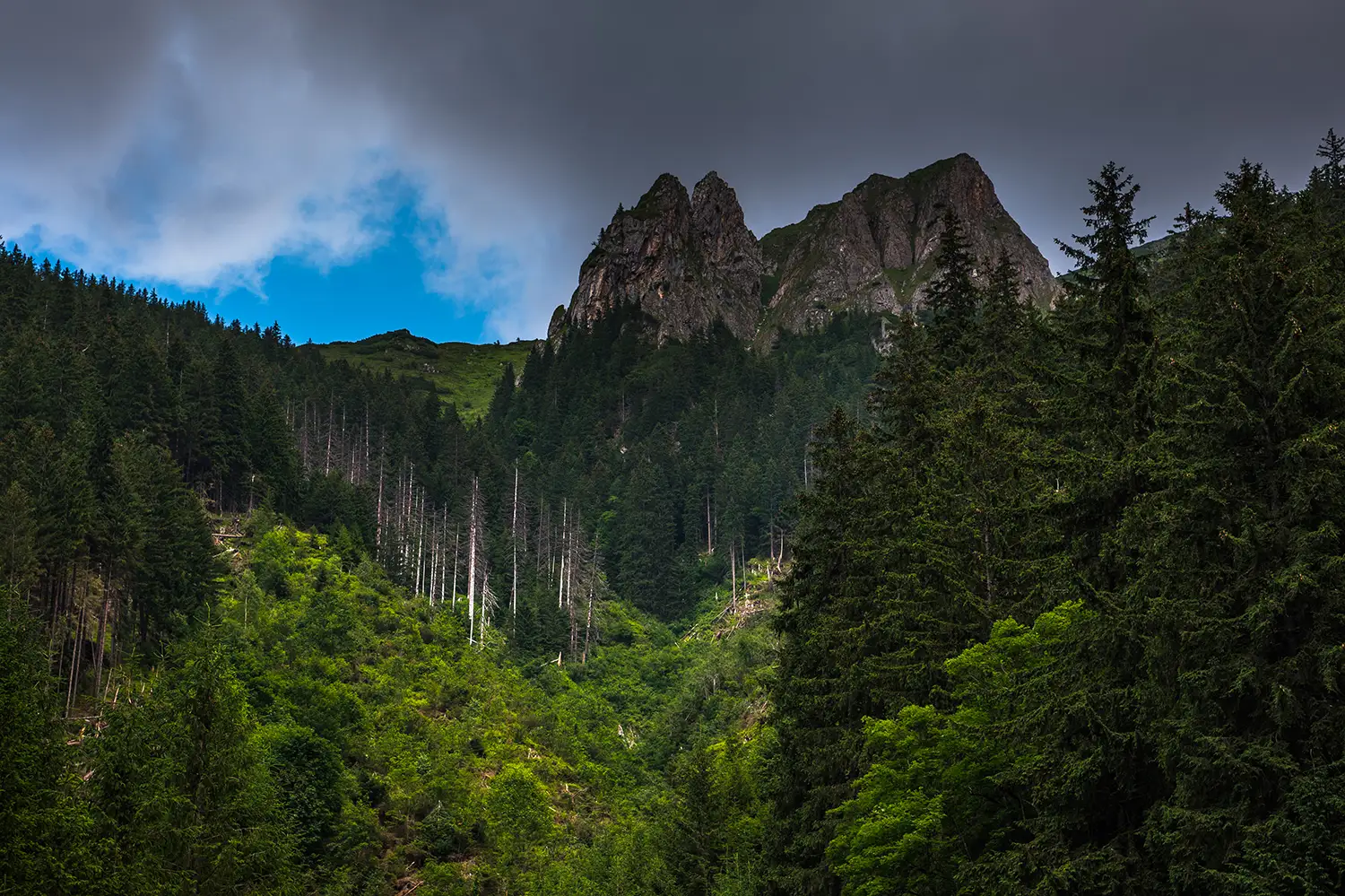  Munții Făgărașului