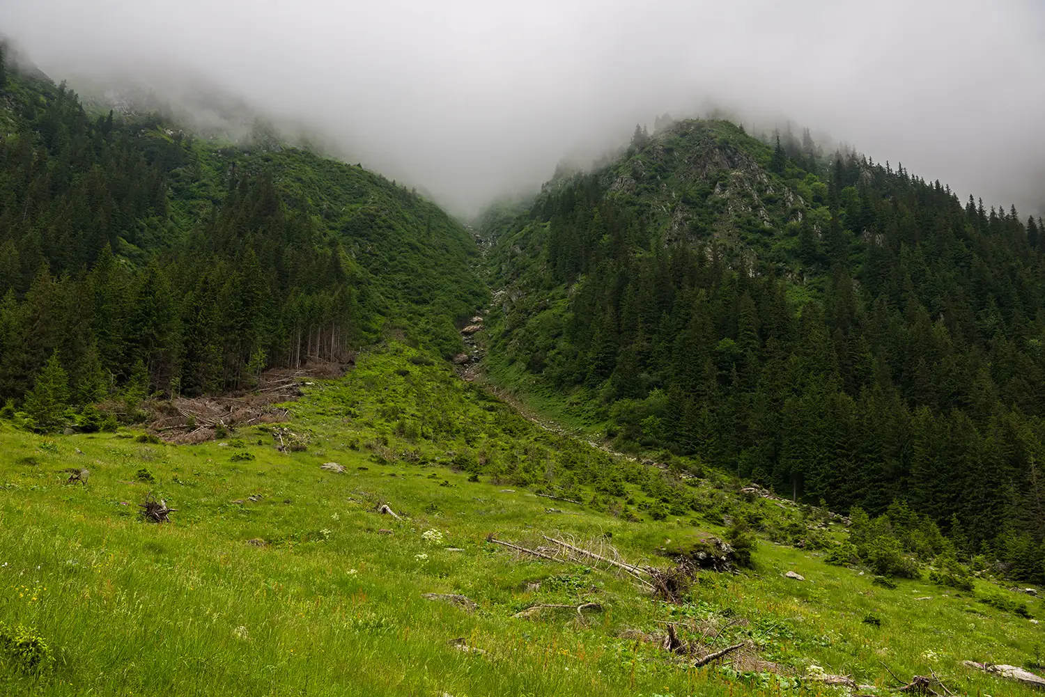  Munții Făgărașului