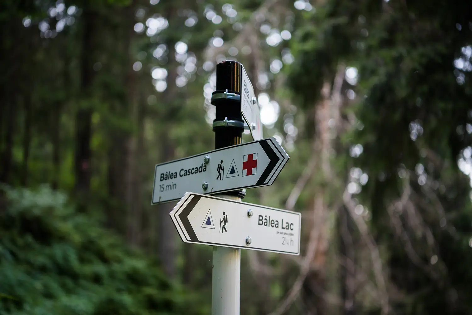  Munții Făgărașului