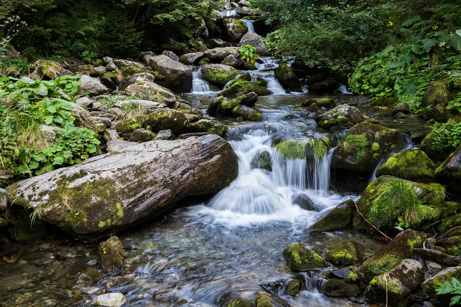  Munții Făgărașului
