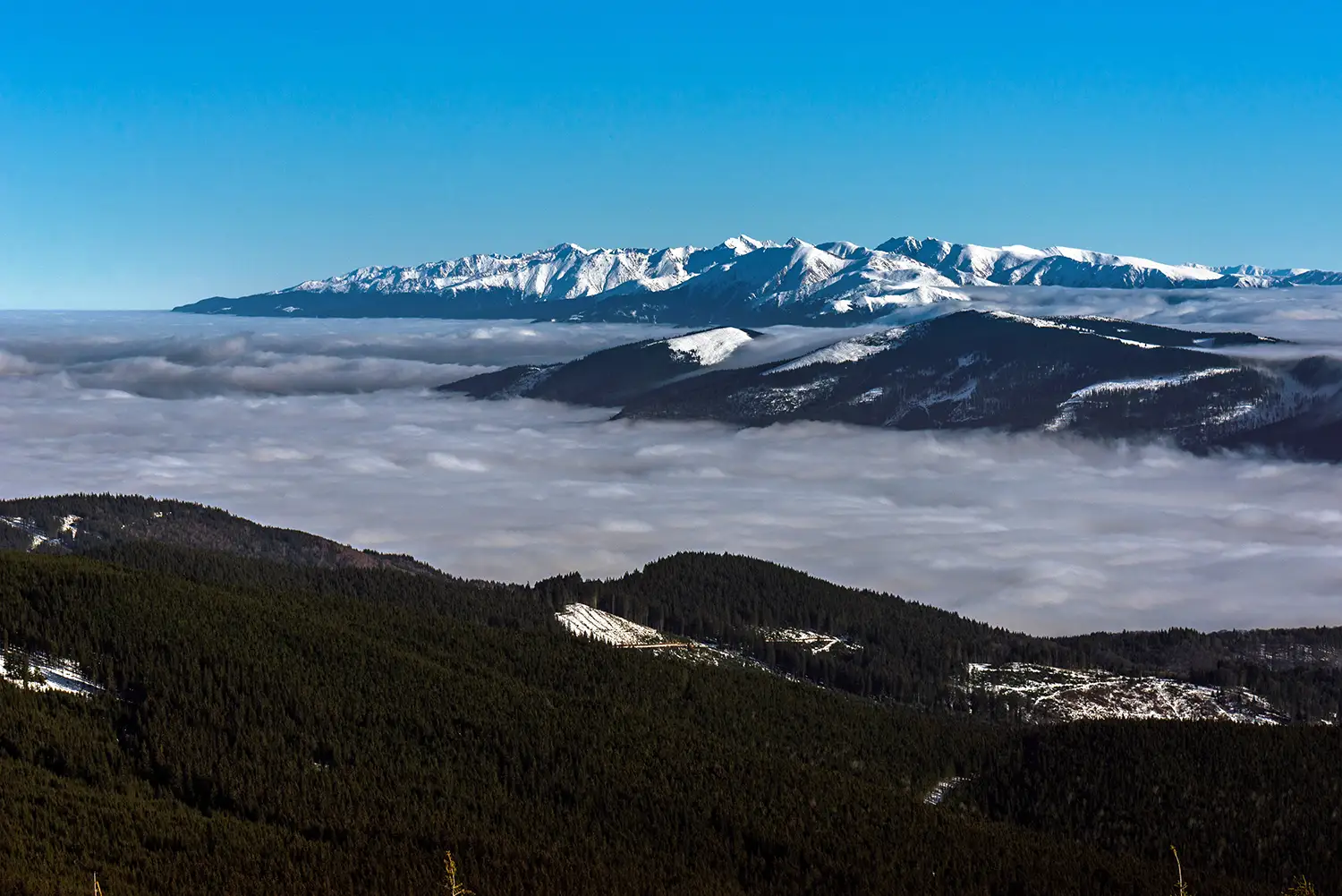 Carpații Meridionali