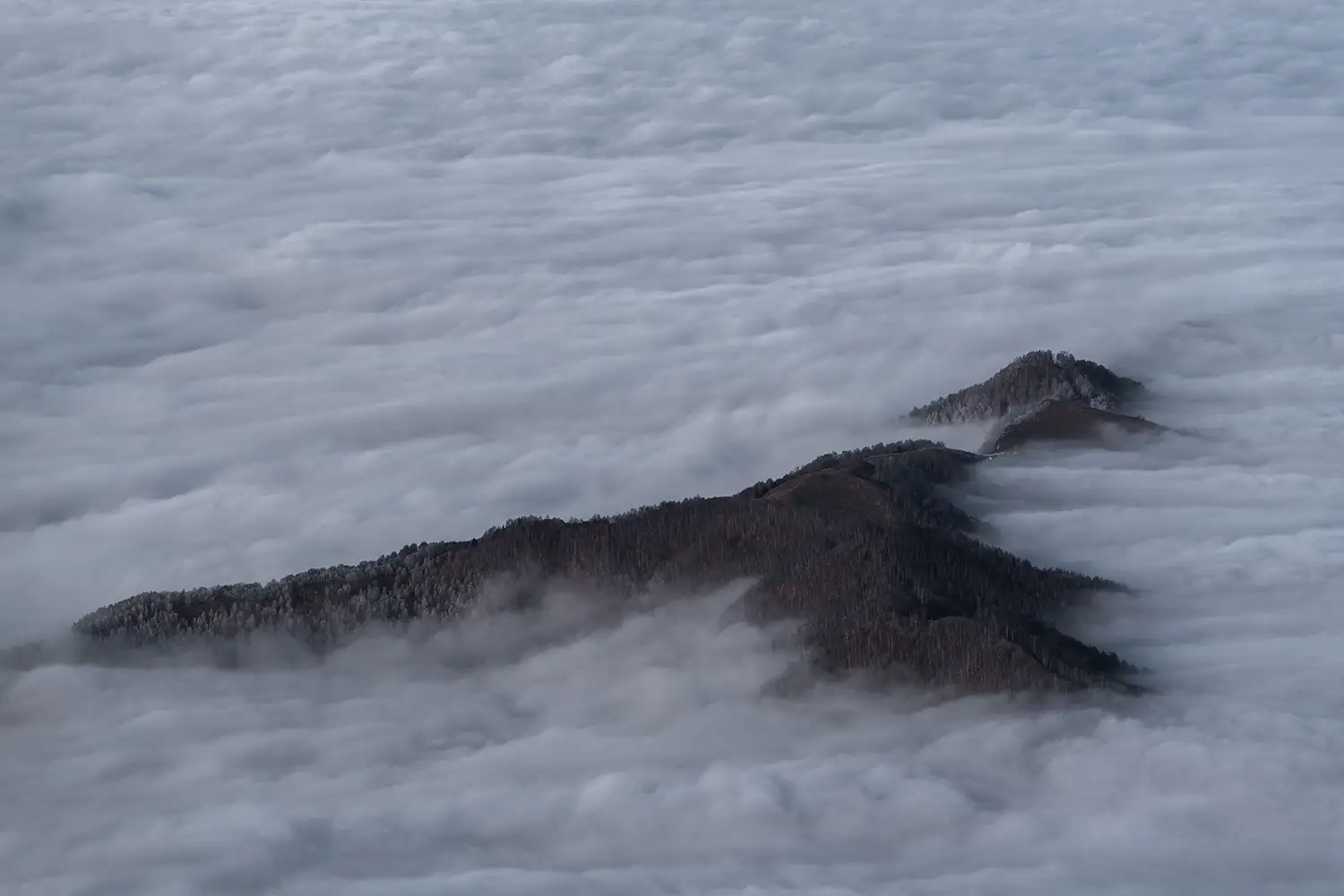 Carpații Meridionali