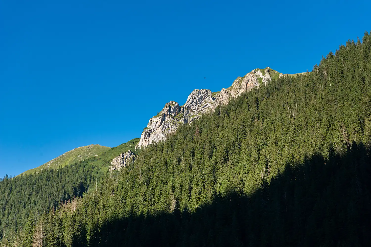 Drumeție Spre Vârful Urlea pe la Piatra Caprei