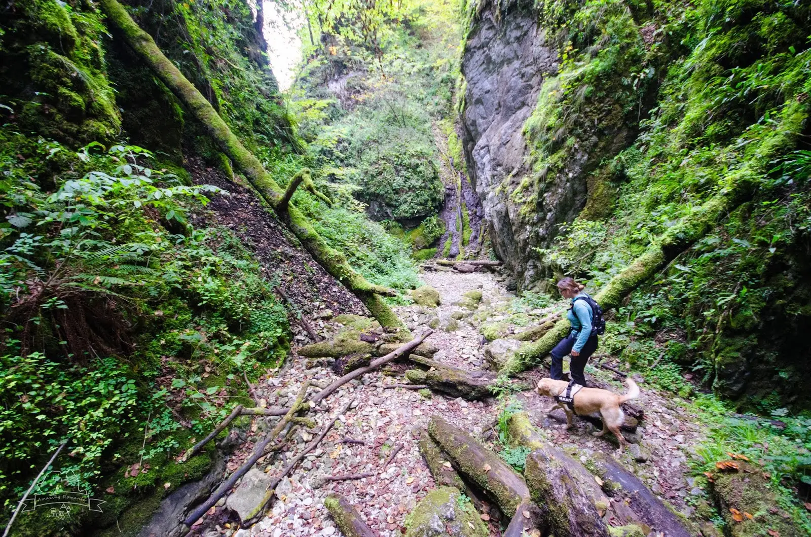  Canionul Sighistel - Amazing Romania