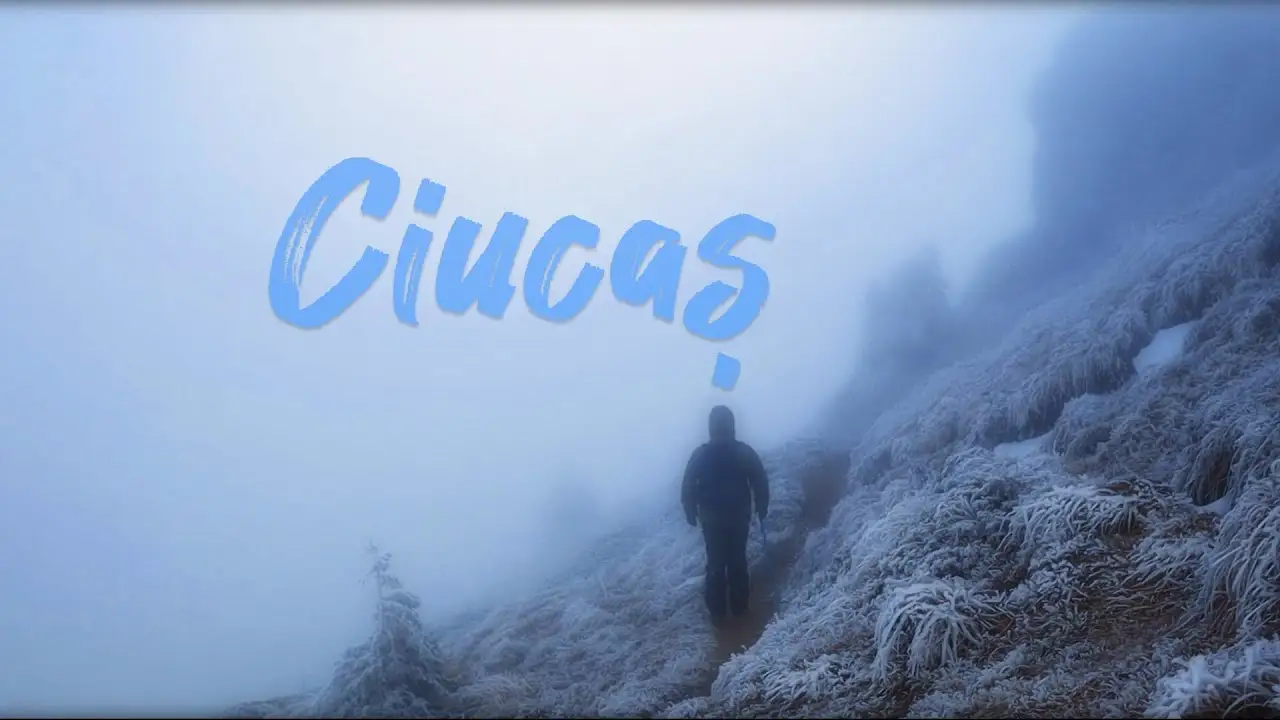 ciucas