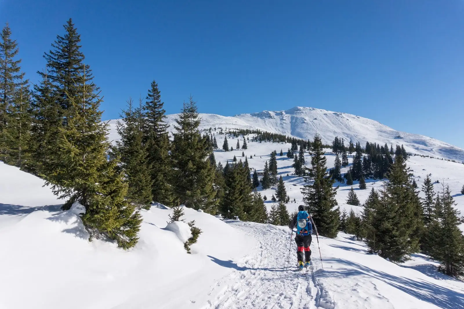 Aproape-de-statia-meteo-Cuntu - Alina Cîrja
