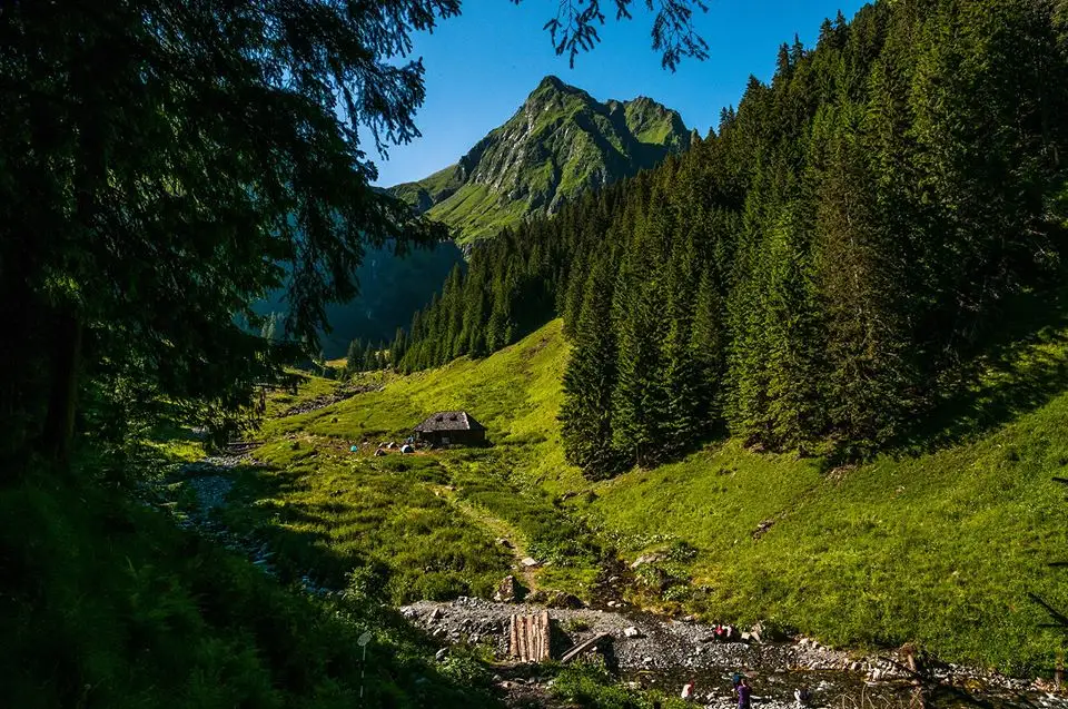  Cover Stana lui Burnei si Valea Rea -  Morar Daniel