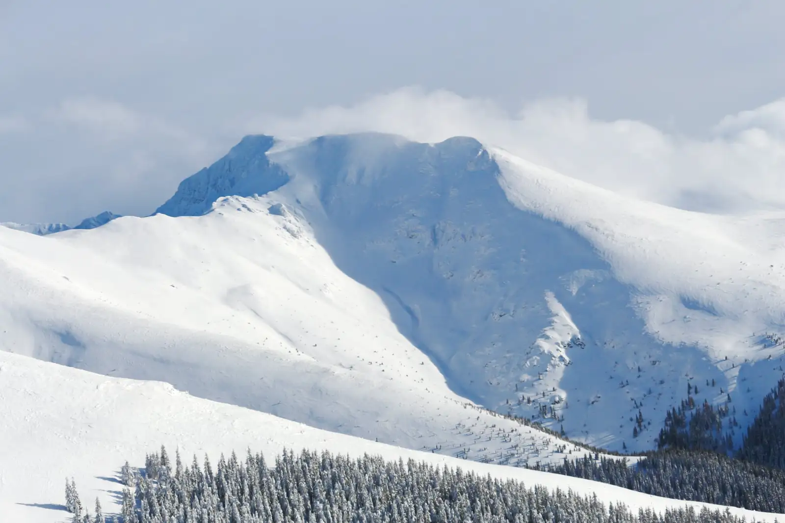 Cover Varful Cirja - Liana Marin